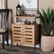 Baxton Studio Vander ModernOak Brown Finished Wood and Black Metal 2-Door Shoe Cabinet 194-11750-ZORO - alternate 1